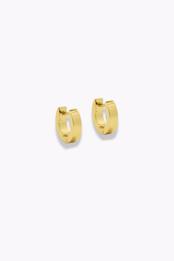 SassyChic Earrings - Round Huggies